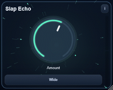 Slap Echo interface - Short slap echo focused on punch and depth without washing out the source.